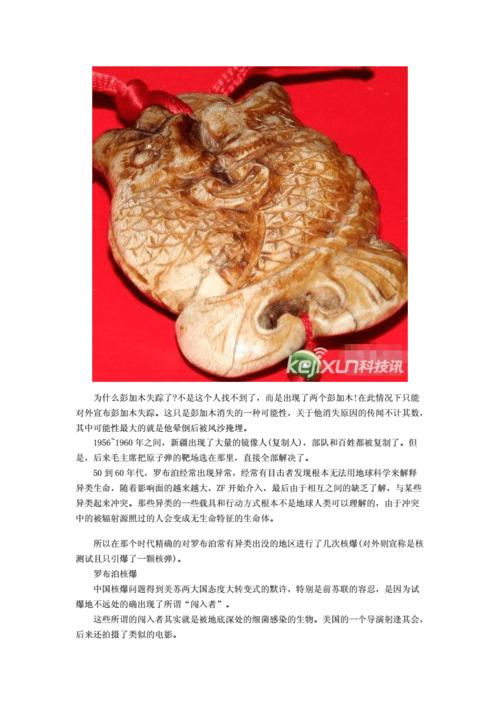 双鱼玉佩事件5照片，双鱼玉佩事件最全照片？  第2张