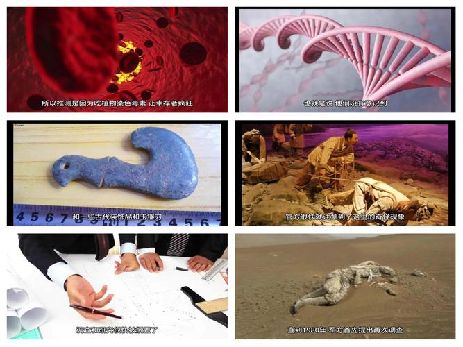 双鱼玉佩事件5照片，双鱼玉佩事件最全照片？  第3张