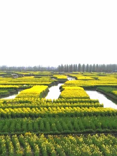 玉门镇清泉天气预报，玉门镇清泉天气预报查询  第1张