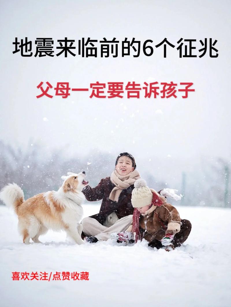 汶川地震前一天的前兆，汶川地震前一晚？  第3张