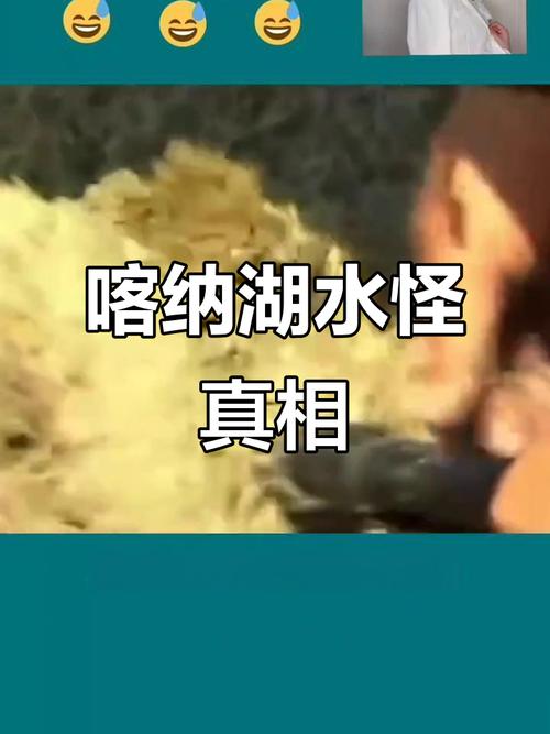 喀纳斯湖水怪真实现身震惊全世界，经典人文地理喀纳斯湖水怪1？  第5张