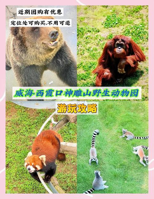 南京红山动物园天气？南京红山动物园天气预报？  第6张