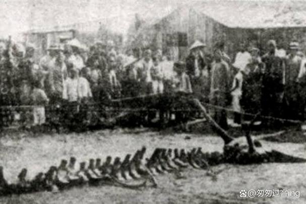 中国真实的未解之谜？盘点中国未解之谜？  第6张
