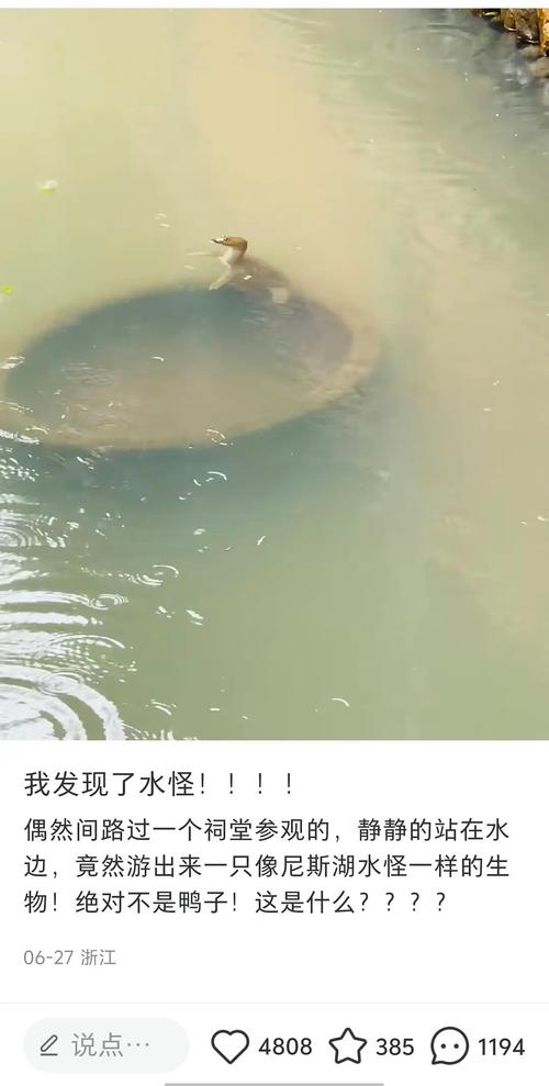 中国真的有水怪吗，中国真的有水怪吗知乎  第5张