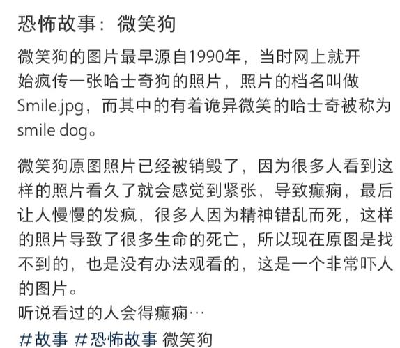 最恐怖的微笑狗？恐怖微笑的狗s？  第5张