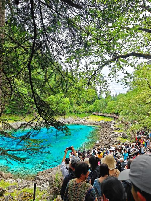 12月份九寨沟天气，12月份九寨沟天气预报  第5张