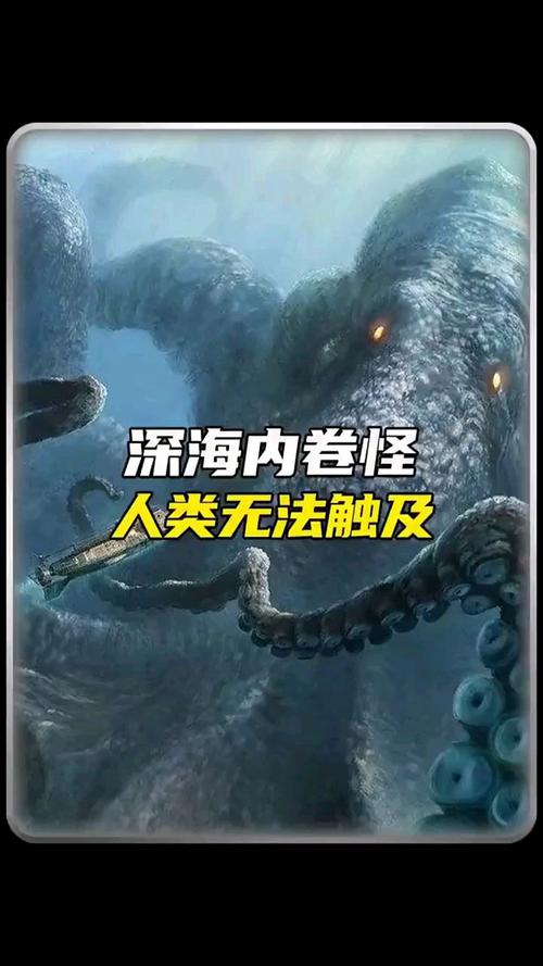 80米乌贼真的存在吗，乌贼能有多大  第6张