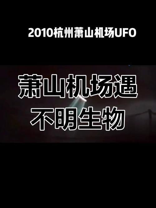 浙江发现ufo，浙江发现一例稀有"恐龙血"？  第1张