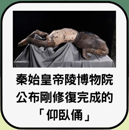 外星人和秦始皇做了什么交易？秦始皇和外星人接触的证据？  第5张