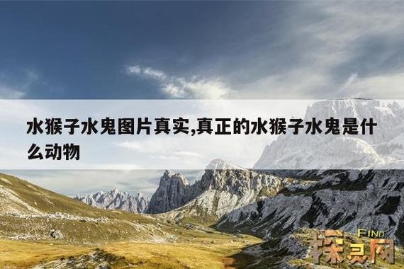 水猴子长什么样图片，水猴子到底长什么样子  第1张