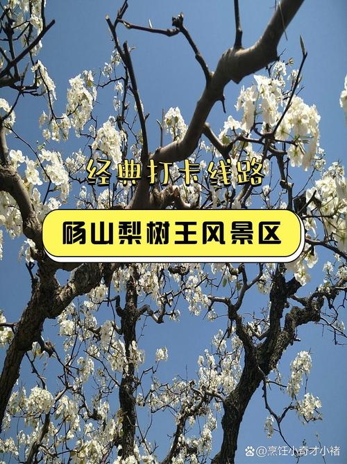 砀山天气60天查询，砀山天气60天查询预报？  第6张