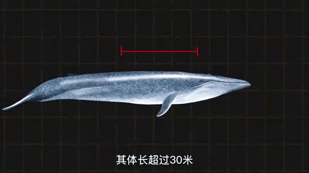 83年东北巨蟒，东北巨蟒渡劫事件  第2张
