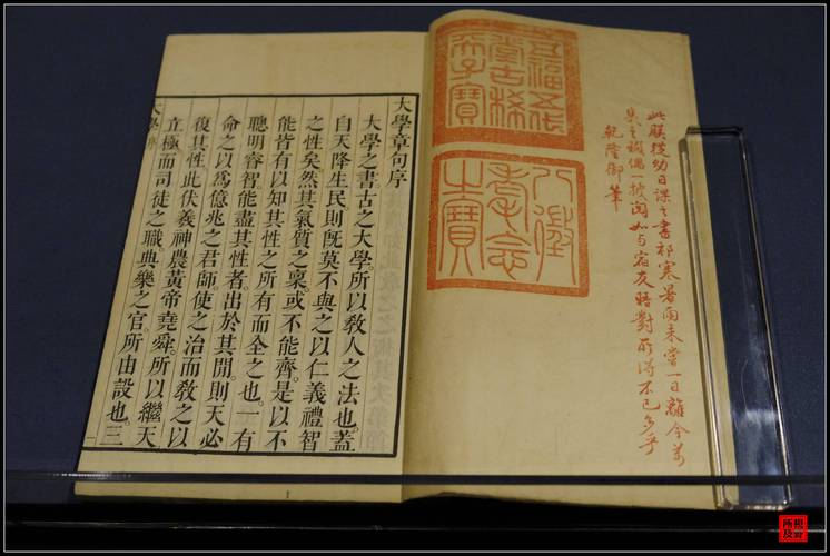 真实的中国奇闻异事，中国奇闻异事100录视频  第3张