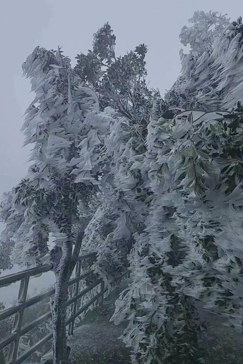 韶关始兴天气40天？韶关始兴一周天气天预报？  第5张