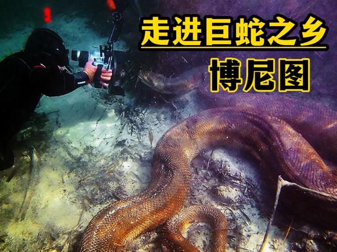 世界上最可怕的巨蛇？世界上最可怕的巨蛇是什么？  第2张
