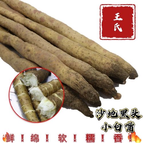 虞城县近十天的天气，虞城县最近几天天气状况  第5张