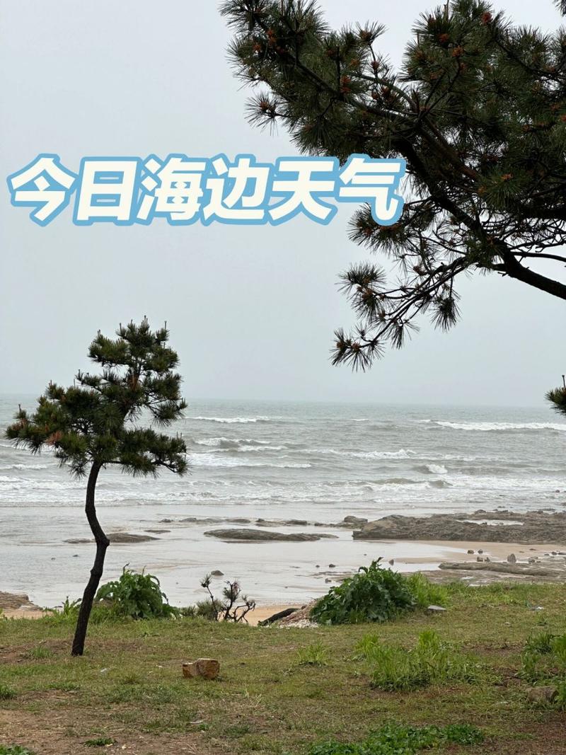 日照全年天气怎么样，山东日照全年天气？  第4张