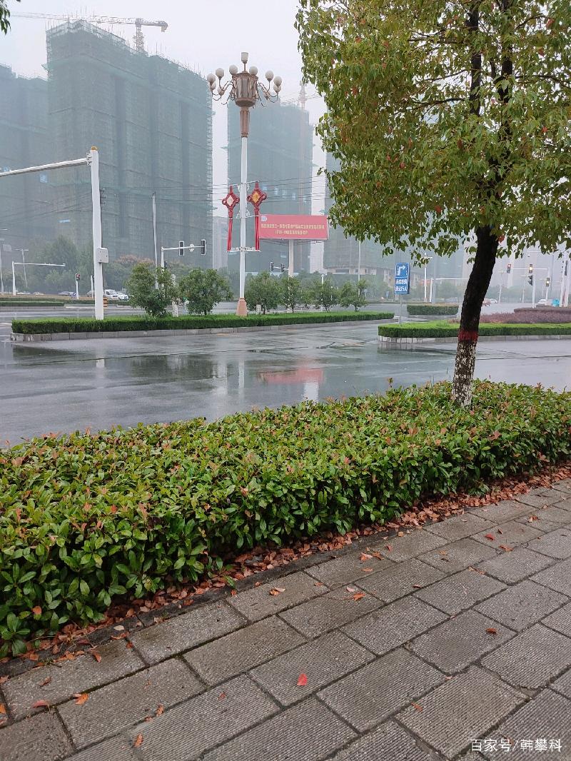 驻马店明日天气预报，驻马店明日天气预报详情？  第2张