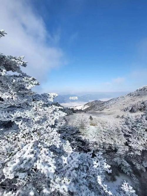 湖北神农架天气情况，湖北神农架天气预报15天查询天  第3张
