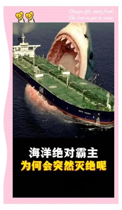 巨齿鲨灭绝之谜？巨齿鲨灭绝没？  第4张