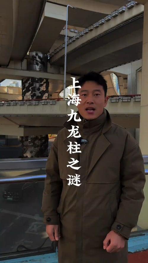 上海龙柱立交桥，上海桥梁龙柱？  第6张