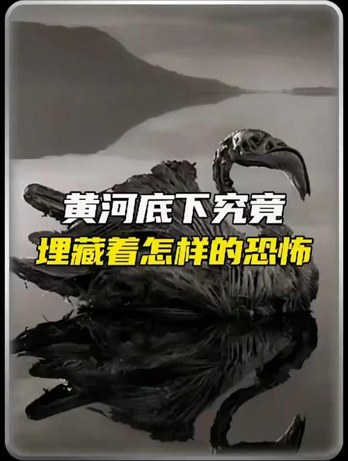黄河透明鬼棺事件是真的吗，黄河透明棺之谜？  第6张