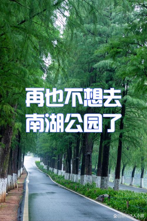 南湖天气预报30天，南湖天气预报30天准确 一个月？  第6张