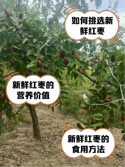 平利县天气预报百度，陕西安康市平利县天气预报15天查询  第6张