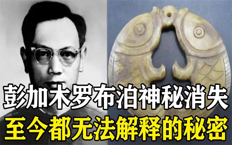 双鱼玉佩镜像人后代，双鱼玉佩镜面人  第2张