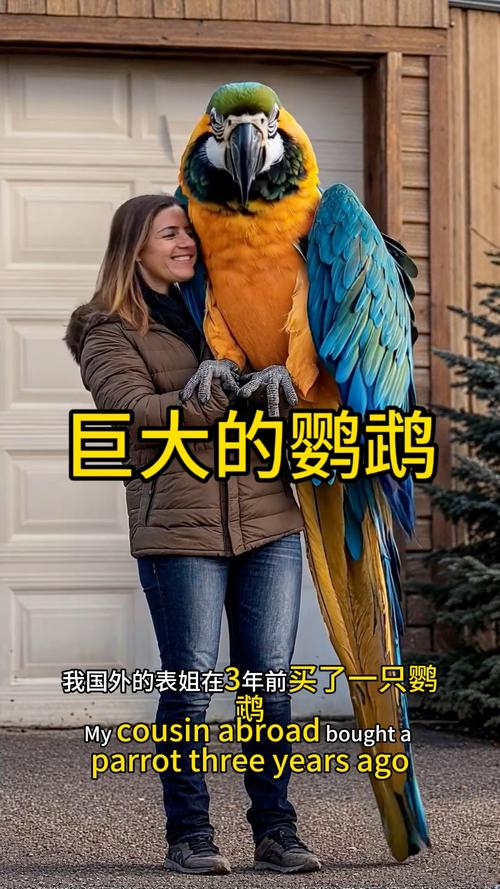 世界上最大的鸟重多少千克，世界上最大的鸟是什么?质量是多少?？  第5张
