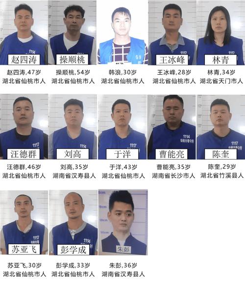 黑社会老大会被判什么邢，黑社会老大是什么意思?  第5张