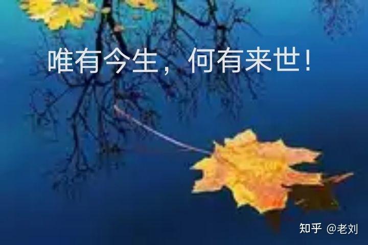 人死了有下辈子吗，人死了有下辈子吗会变成动物吗？  第2张