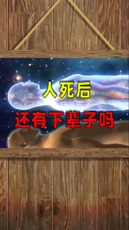 人死了有下辈子吗，人死了有下辈子吗会变成动物吗？  第4张
