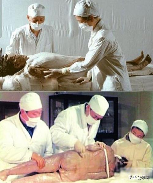 尸体图片吓人的的简单介绍  第2张