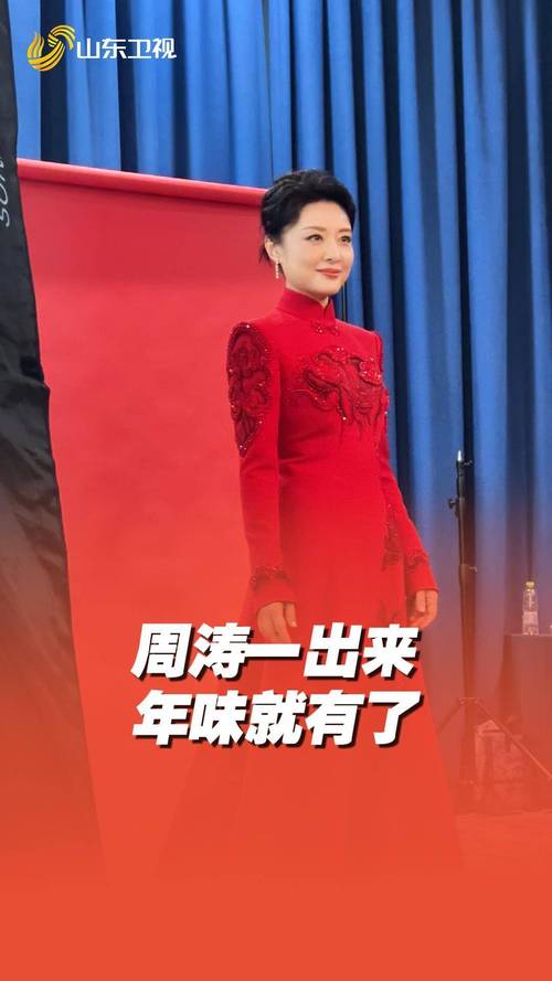 2012年春晚的主持人，2012年春晚的主持人有哪些  第1张