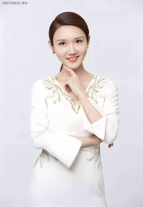 2012年春晚的主持人，2012年春晚的主持人有哪些  第4张