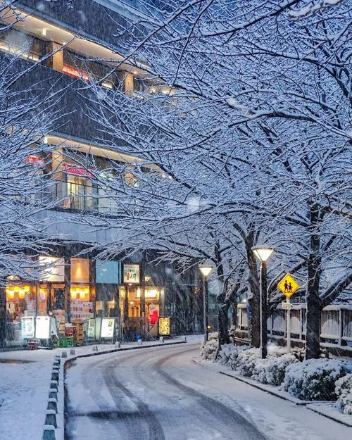 日本东京的天气情况，这几天日本东京的天气如何?？  第2张