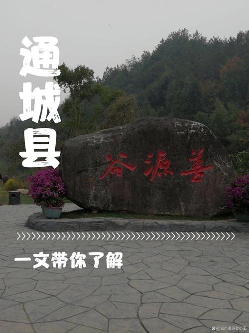 通城一个月天气查询？通城县一周天气？  第2张