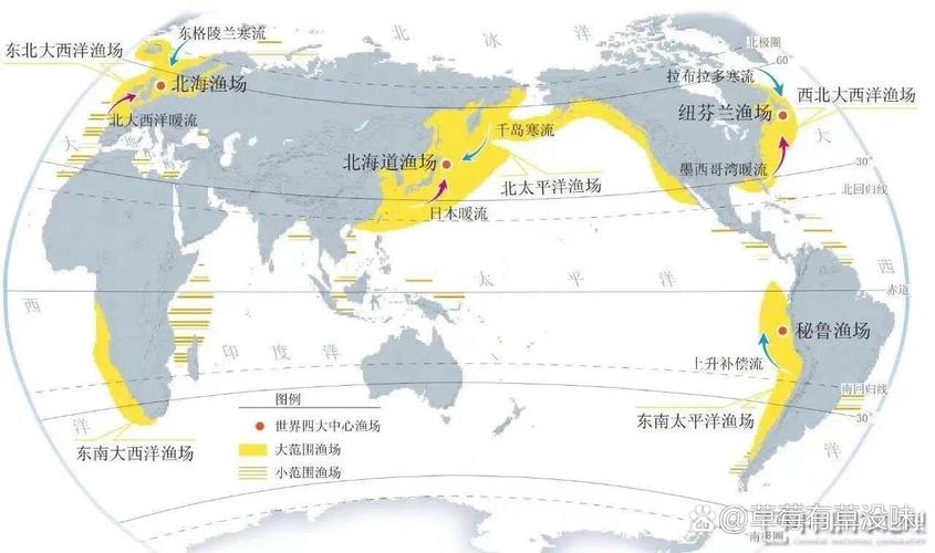 世界上最大的渔场？世界上最大的渔场是什么？  第2张
