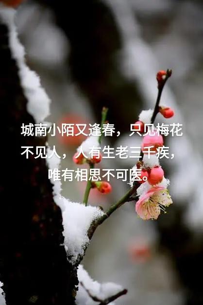 中国灵异歌曲，灵异歌声  第5张