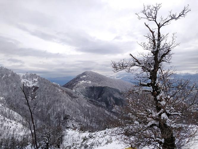 乐昌九峰山天气预报，乐昌市九峰镇天气  第6张