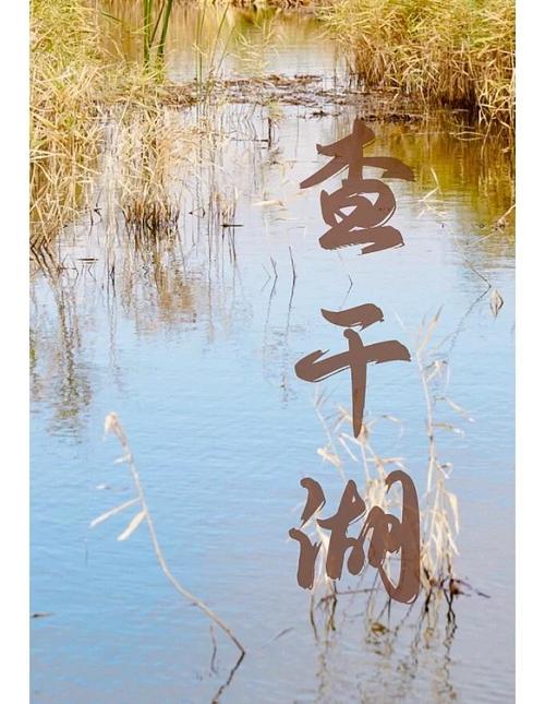 长岭县7天天气预报，长岭县天气预报30天天气  第3张
