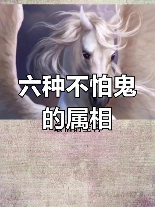 鬼最喜欢保护的生肖？鬼最想保护的人？  第4张