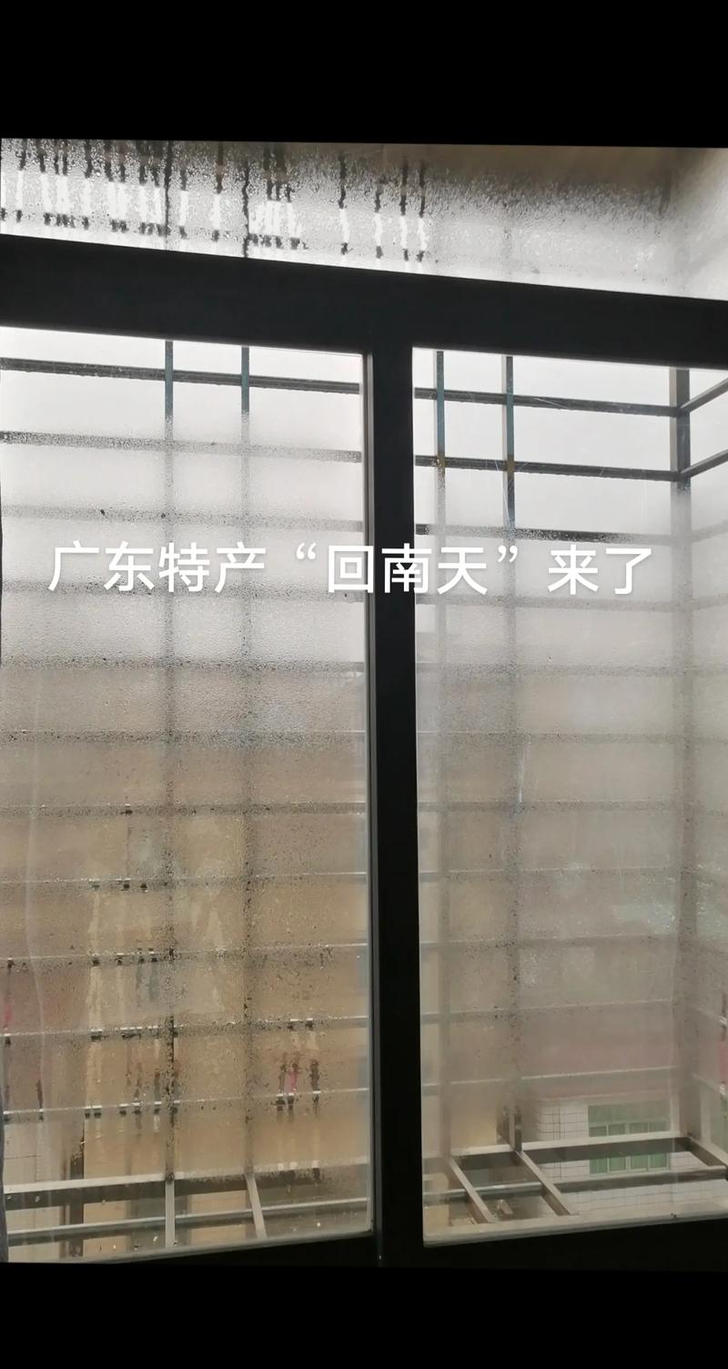 梅州1月份天气情况？梅州一月气温？  第2张