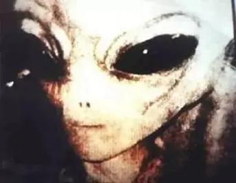 外星人存在的证据，外星人存在的证据Al  第2张