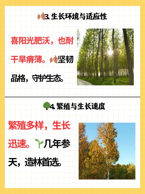 大杨树天气预报今天？大扬树天气？  第6张