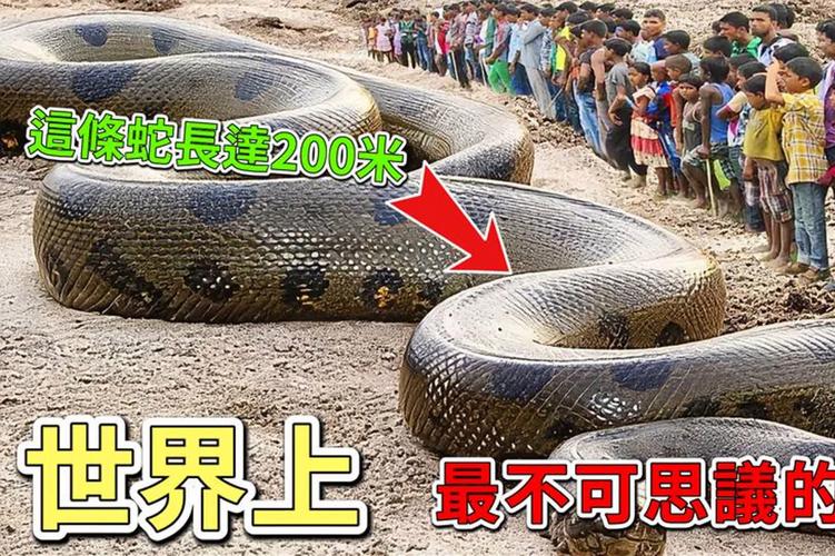 一千年大蟒蛇图片？千年巨蟒大闹冥界是什么电影？  第2张