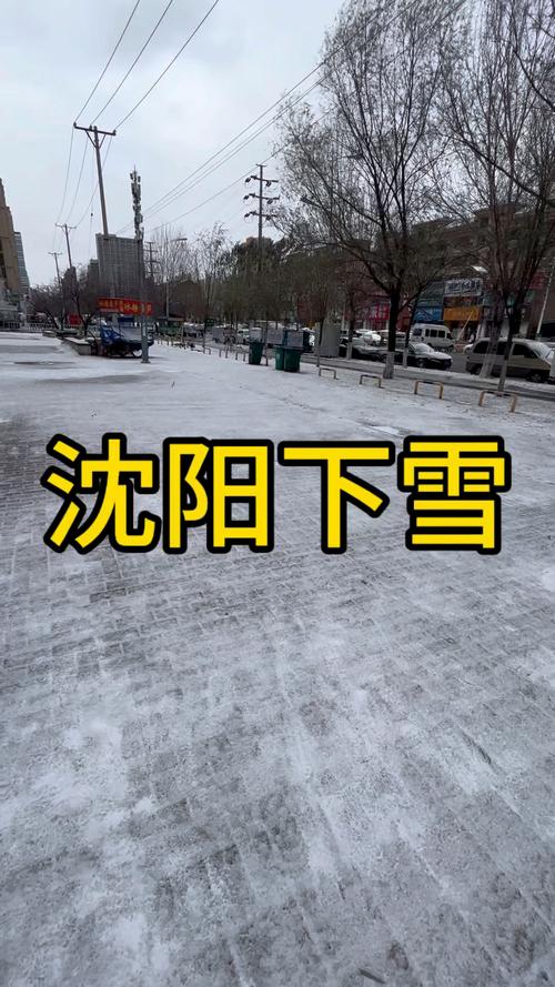 沈阳冬天天气很冷吗，沈阳冬天的温度一般是多少？  第1张
