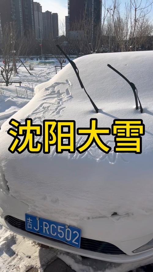 沈阳冬天天气很冷吗，沈阳冬天的温度一般是多少？  第3张