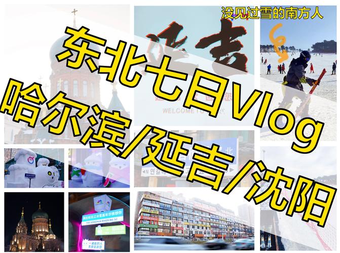 沈阳冬天天气很冷吗，沈阳冬天的温度一般是多少？  第4张